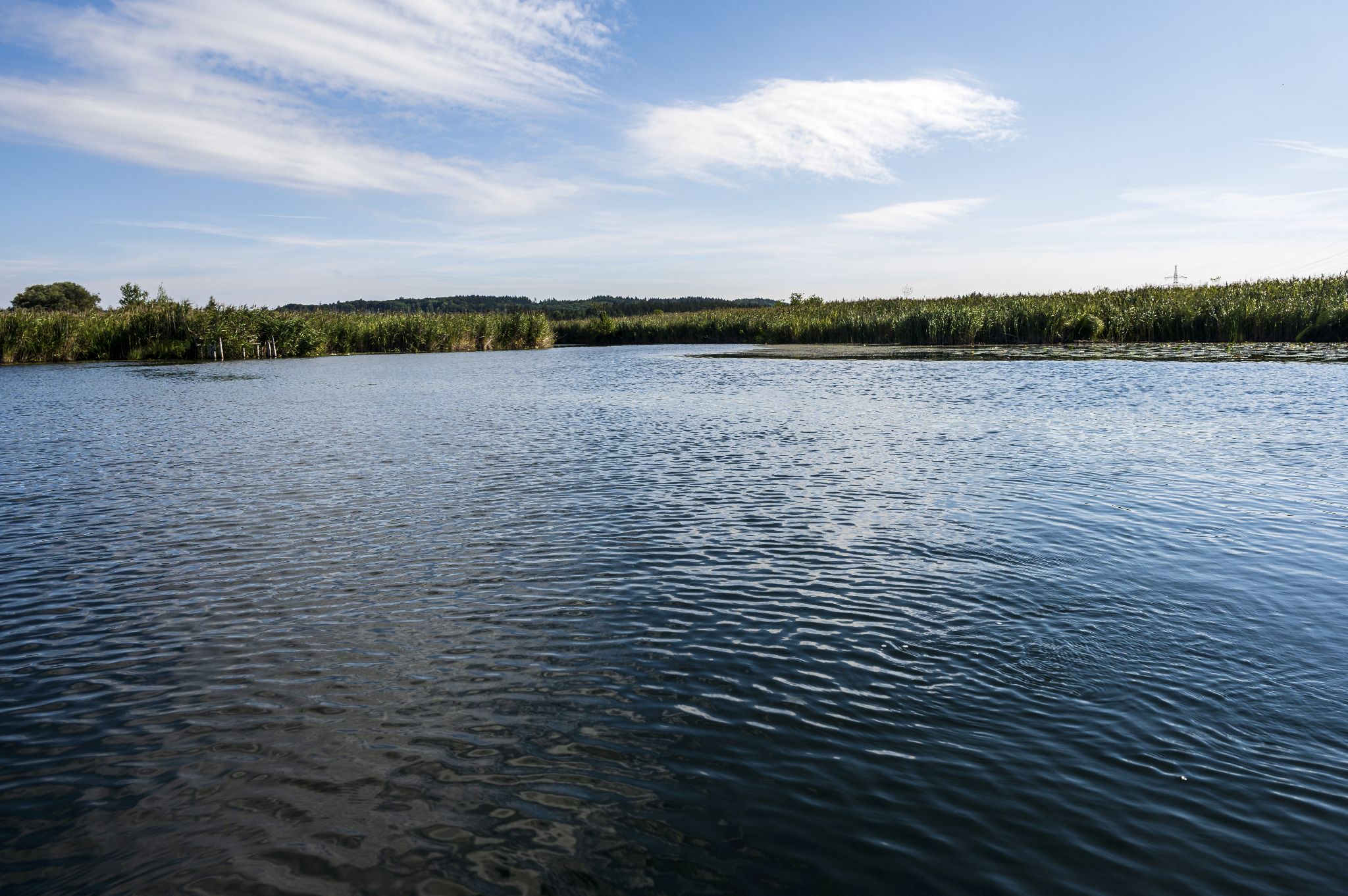 Kajaktour Leutstettner Moos 21.08.2022